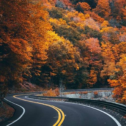  بلند بالای مو دورت بگردوم آی بگردوم آی بگردوم